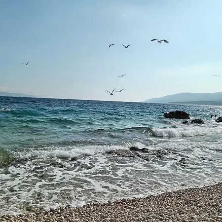 Apartman Zahtila - Pina